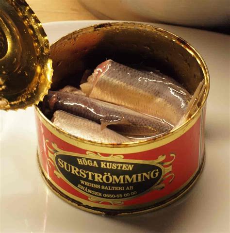 worlds smelliest fish in a can|What is Surströmming and how to eat this smelly fish